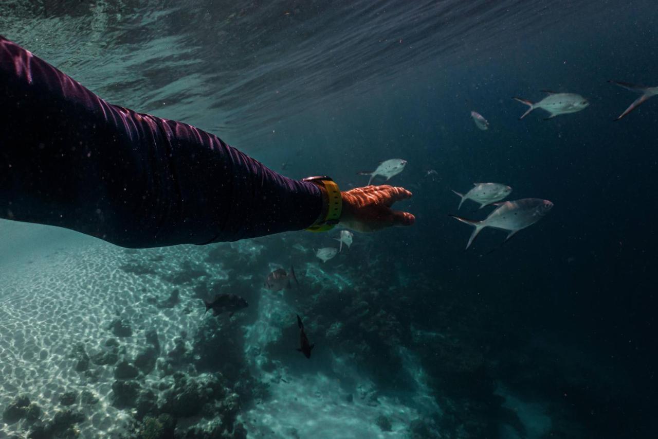 Sun Siyam Iru Veli - 24 Hours Premium All-Inclusive With Free Transfers Hulhudheli Extérieur photo